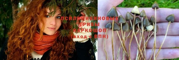 ALPHA PVP Алексин